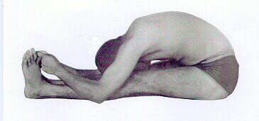 Posterior Stretch